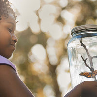 Seven Ways to Capture Teachable Moments