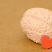 Want to Get More Done? Work With Your Brain, Not Against It