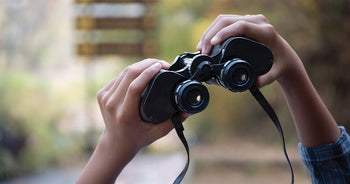 Preparing Students for Their Future: Blurring Lines and Building Bridges