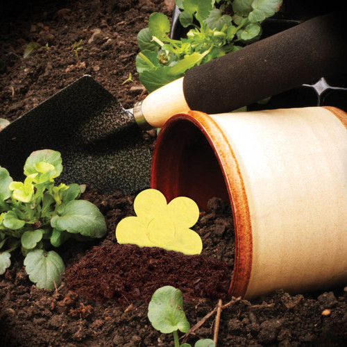 flower pot with dirt and shovel